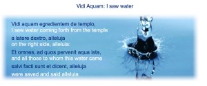 Vidi Aquam