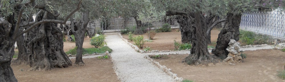 Gethsemane Garden